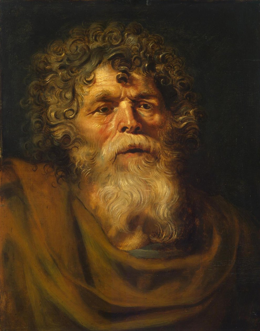 رأس رجل عجوز ، دراسة لـ "تاج الشوك (Ecce Homo)" ، حوالي 1612-14 (زيت على لوح) بواسطة بيتر بول روبنز