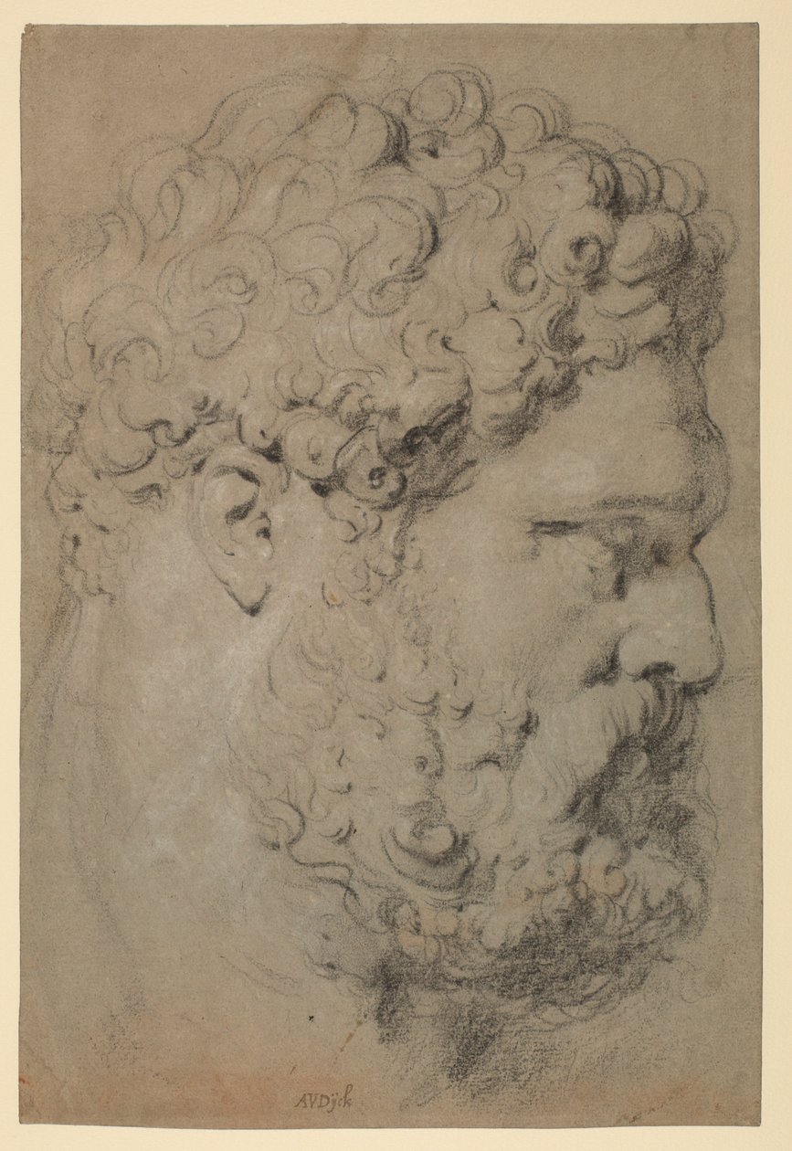 رئيس Farnese هرقل بواسطة بيتر بول روبنز