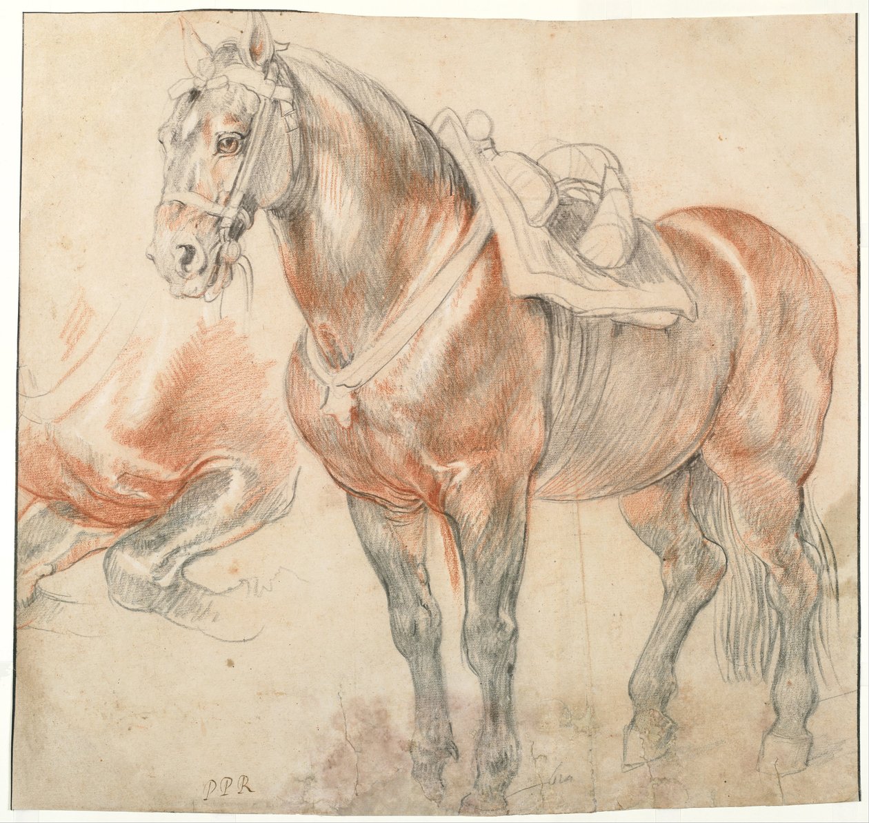 الحصان السرج ، ج. 1616-1618 بواسطة بيتر بول روبنز