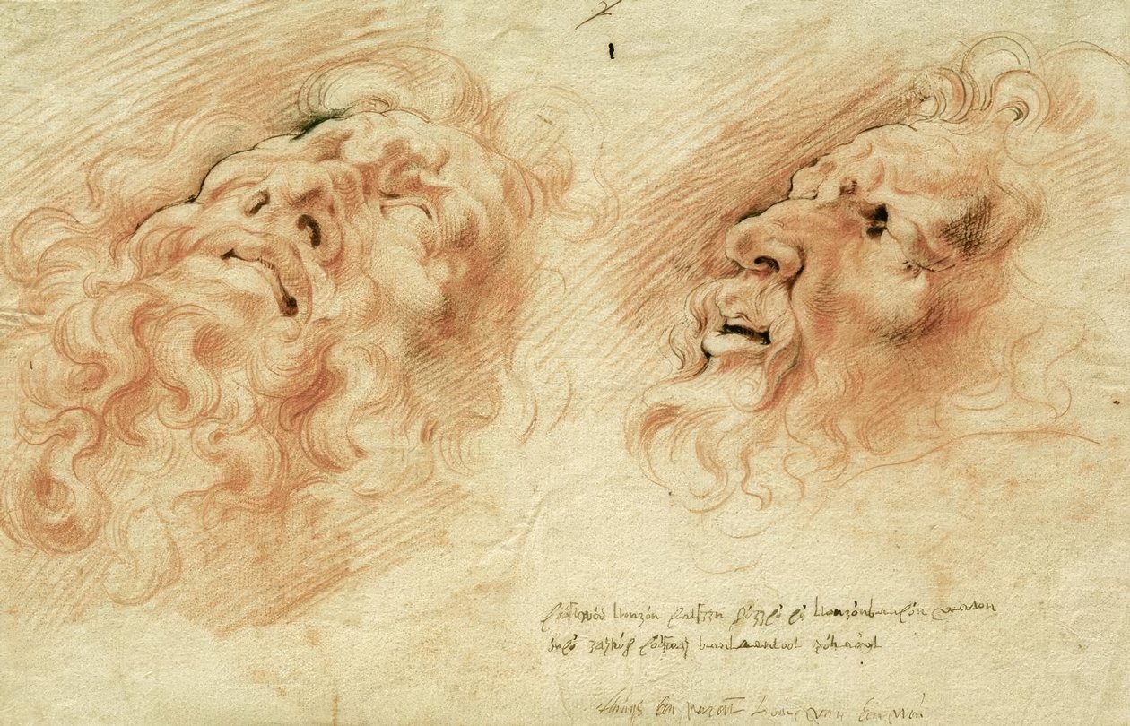 دراستان بعد رأس Laocoon بواسطة بيتر بول روبنز