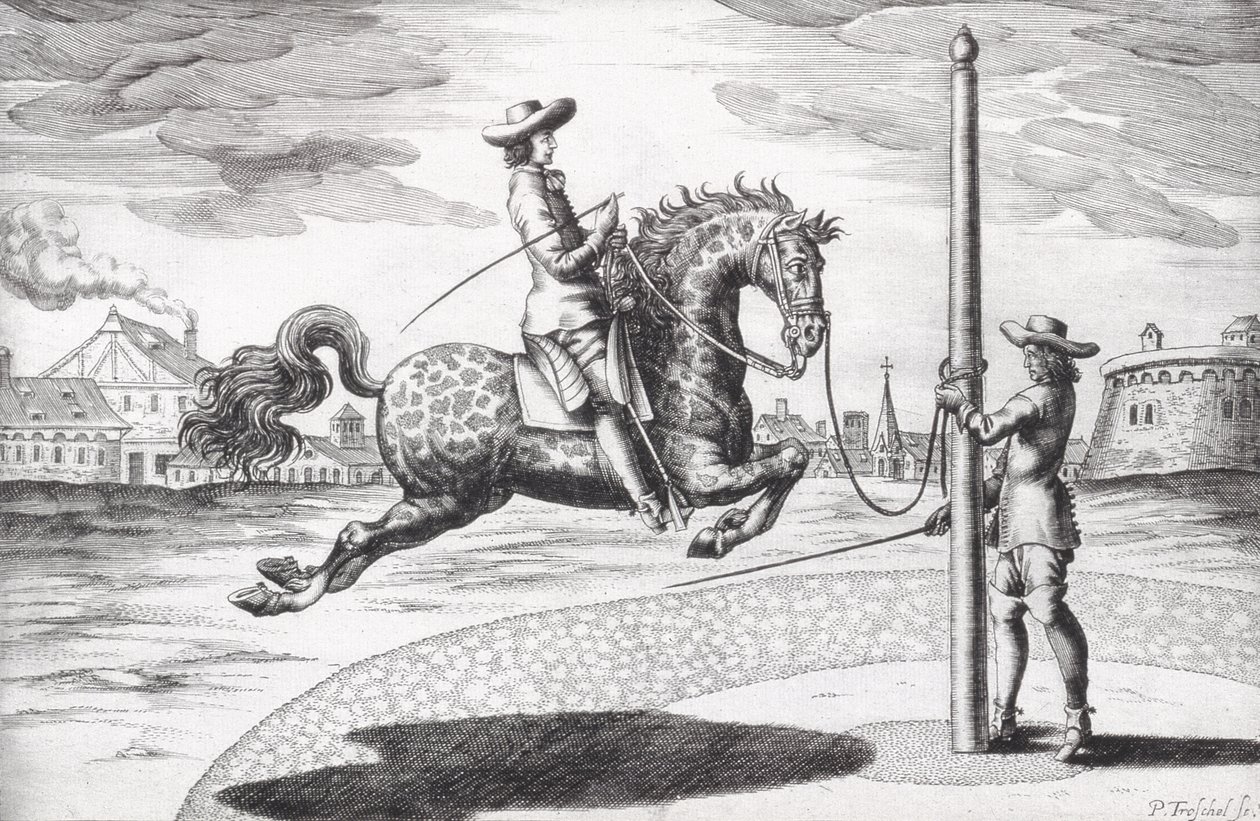 A حصان en Capriole من أطروحة جديدة لتربية الخيول كتبها Winters و Stuterey و Reit-Schul ، نقشها الفنان ، الحانة. 1672 نقش بواسطة بيتر بول تروشيل