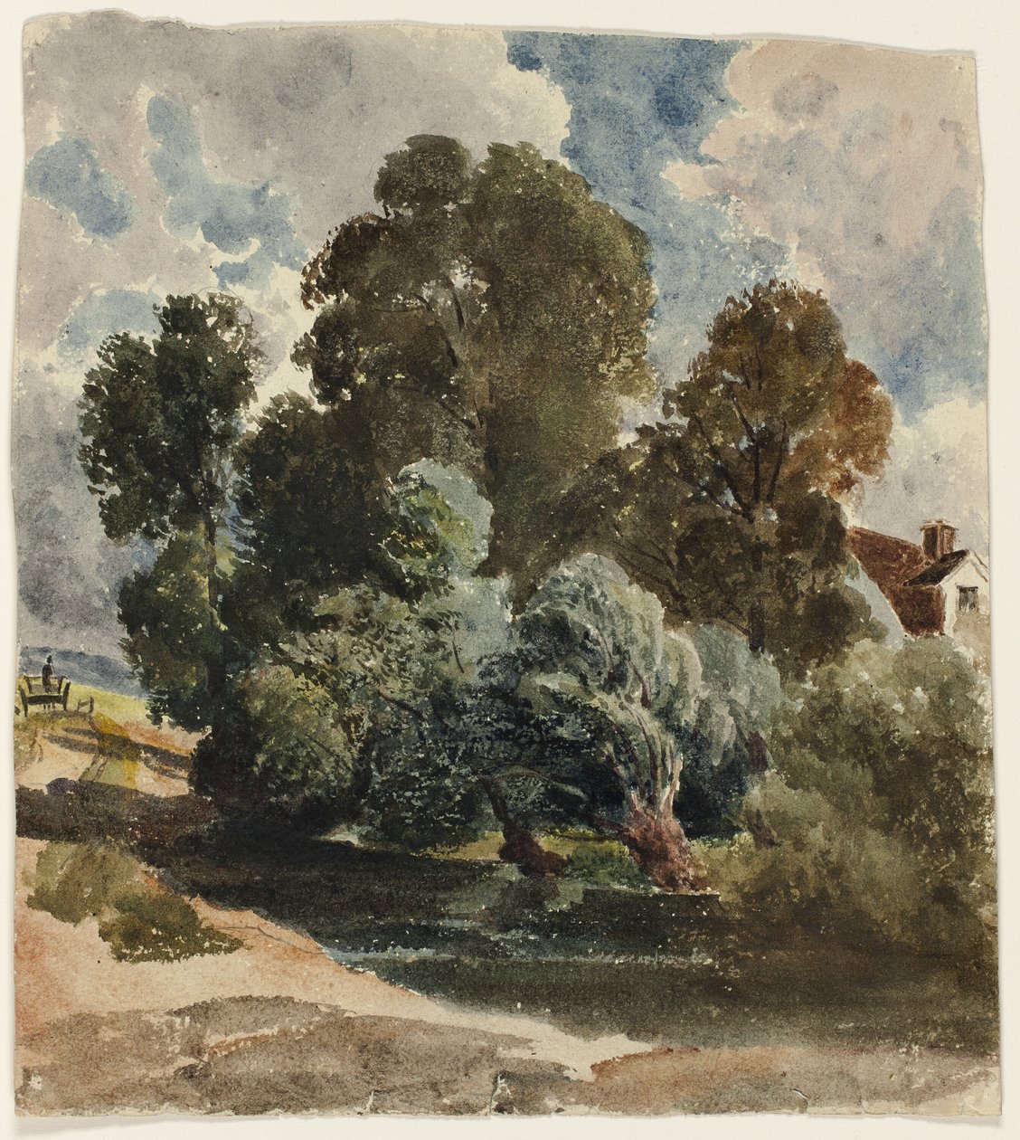 Grove of Trees (وجه) ، رسم تخطيطي لكنيسة Aderley (الظهر) بواسطة بيتر دي وينت