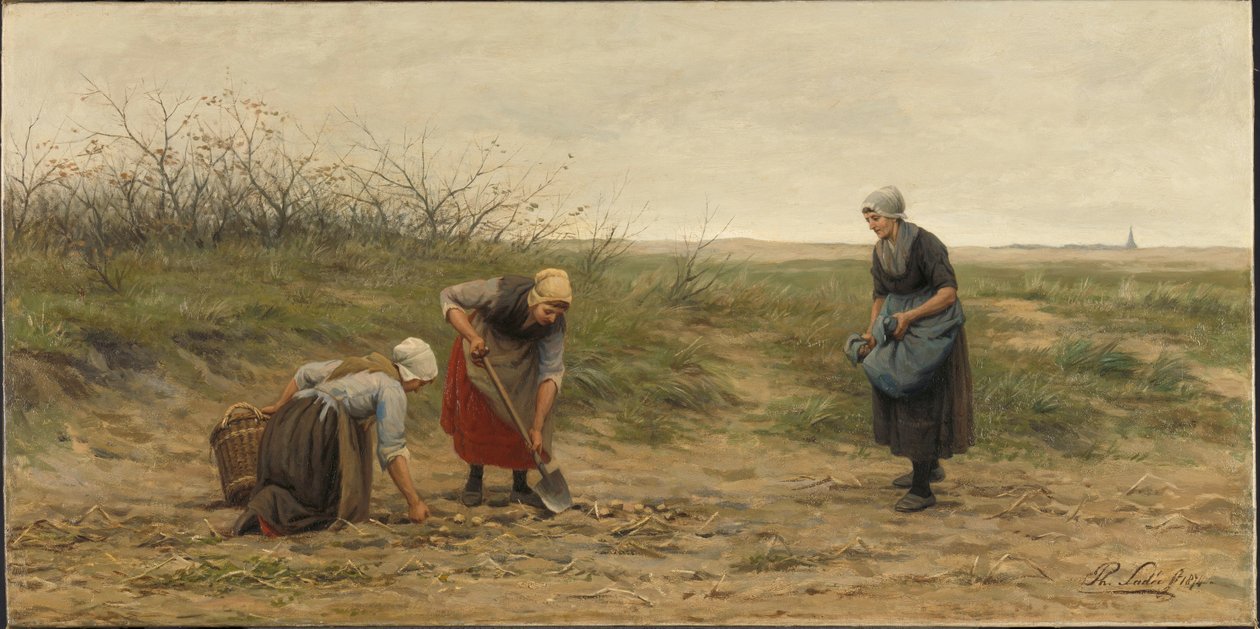 نساء Scheveningen يقرأن حقل بطاطس تم تطهيره بواسطة فيليب سادي