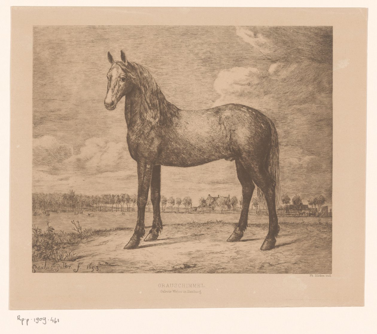 Grauschimmel (العنوان الأصلي على الكائن) بواسطة فيليب زيكن