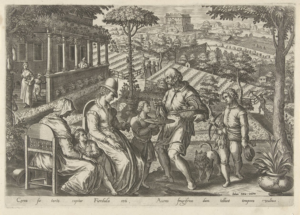 Jacht op de grasmus Jachttaferelen (عنوان المسلسل) وفيه كل نوع من الصيد والطيور وصيد الأسماك (عنوان السلسلة) بواسطة فيليبس جالي