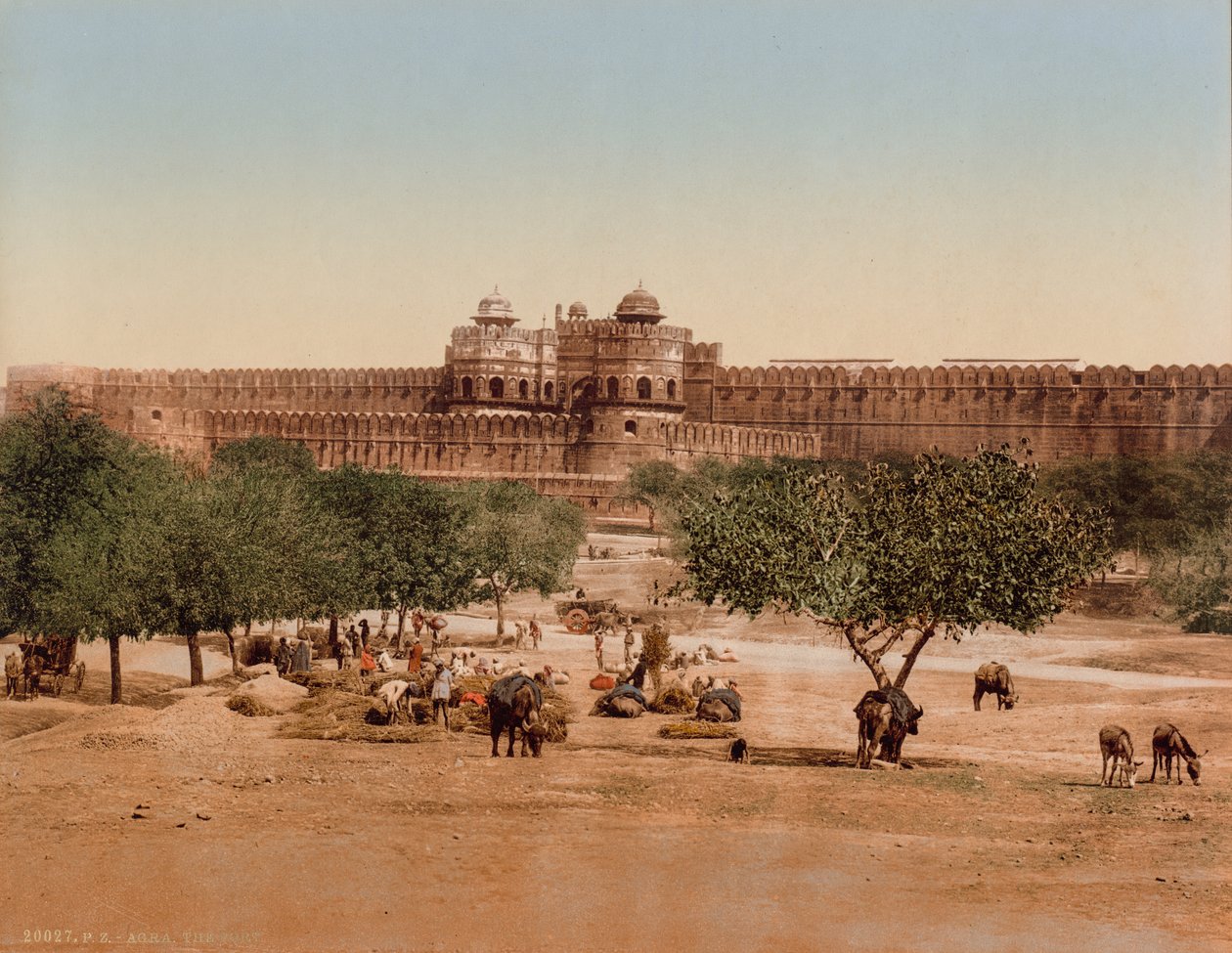 اجرا. القلعة بواسطة شركة فوتوجلوب (زيورخ ، نشط ج .1890 1910)