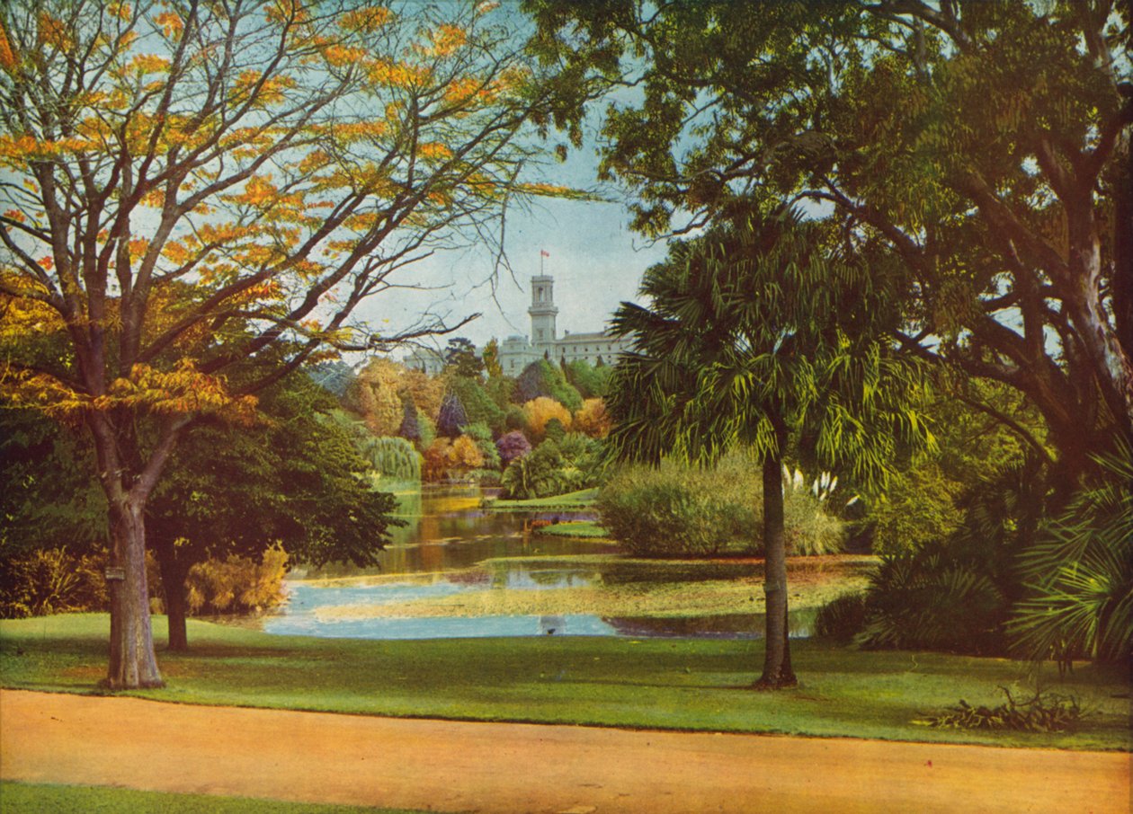  بواسطة مصور فوتوغرافي استرالي