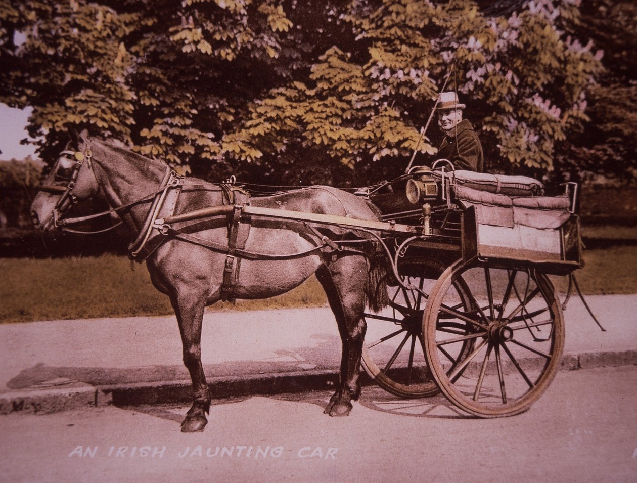 An Irish Jaunting Car, c.1910 (hand-coloured b/w photo) بواسطة المصور الأيرلندي