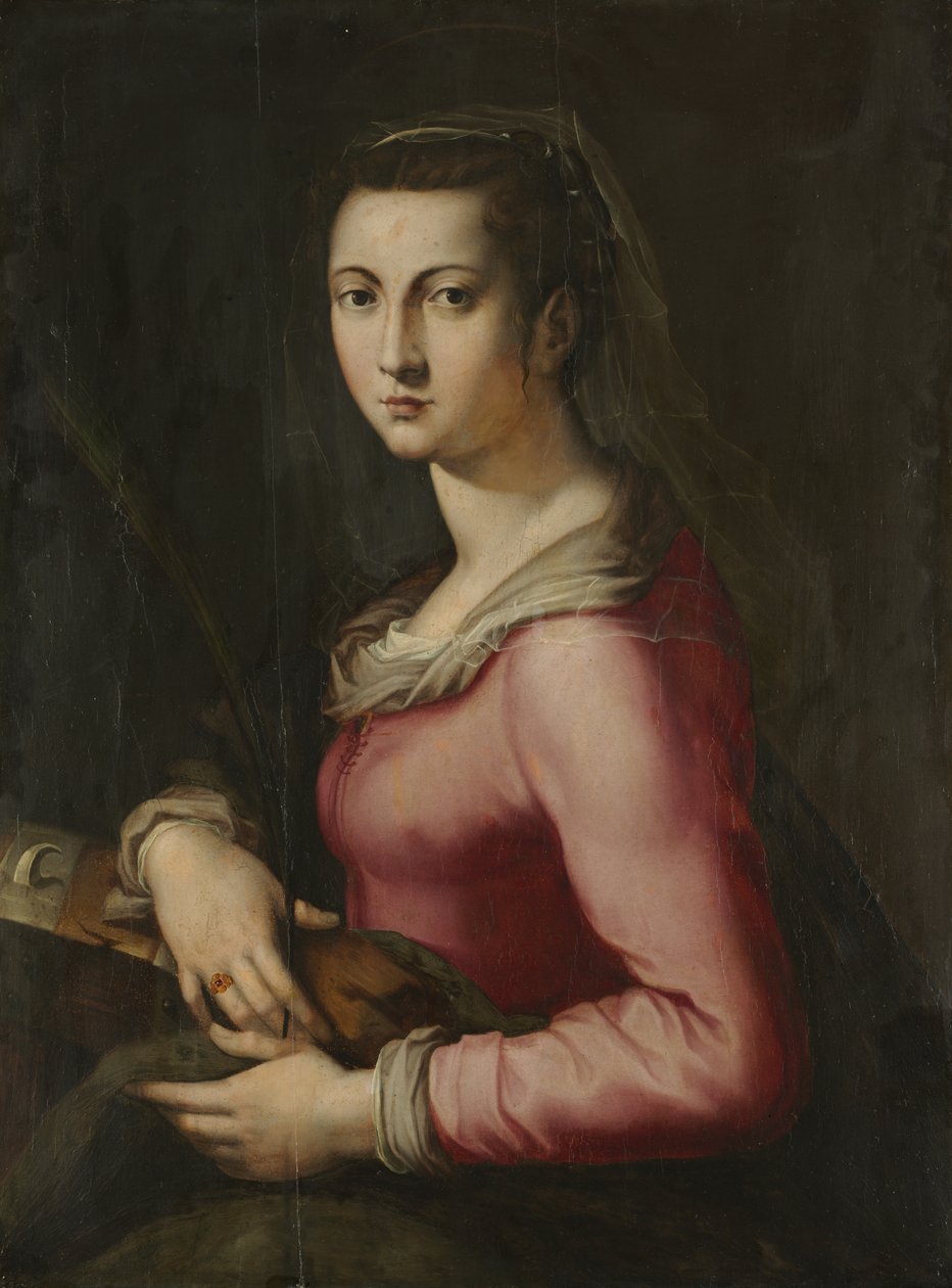 صورة لامرأة مثل سانت كاترين، ج. 1560 (زيت على خشب) بواسطة بيير فرانشيسكو فوشي