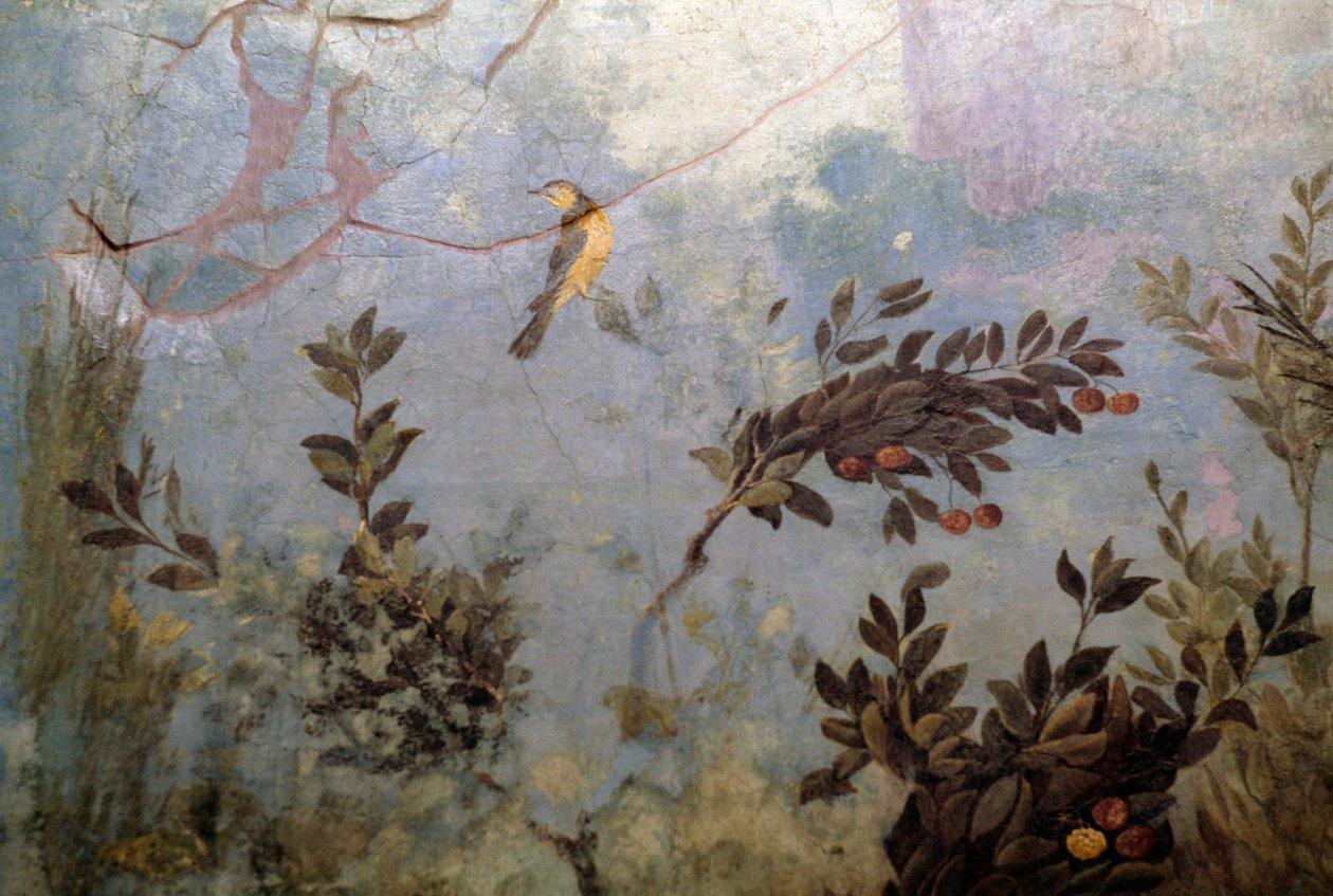 Bird, detail from a fresco depicting a garden with trees and birds, from the House of Livia on Palatine hill, Rome, Italy. Roman civilization بواسطة بليز نيكولا لو سوير