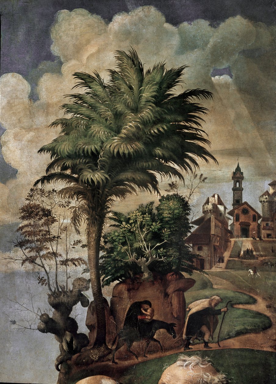 العذراء والطفل على العرش محاطان بالقديسين ، التفاصيل (زيت وحرارة على اللوح ، حوالي 1493) بواسطة بييرو دي كوزيمو