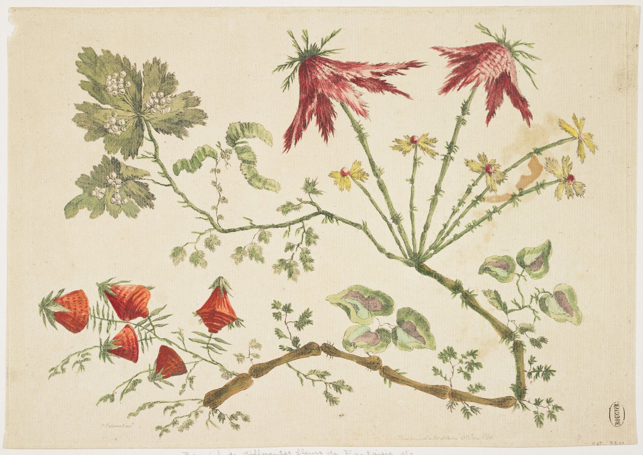 زخرفة ، Chinoiserie ، زهور ، 30 يونيو 1760 (النقش الملون) بواسطة بيير تشارلز كانوت