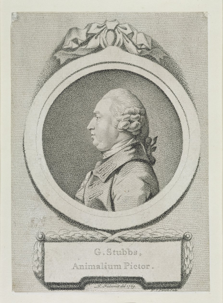 دراسة بورتريه لجورج ستابس (1724-1806) (نقش ونقش أرضي) (انظر 213891) بواسطة بيير إتيان فالكونيت