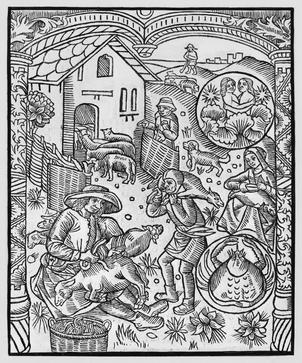 يونيو ، قص الأغنام ، الجوزاء ، توضيح من "Almanach des Bergers" ، 1491 (xylograph) بواسطة بيير لو روج