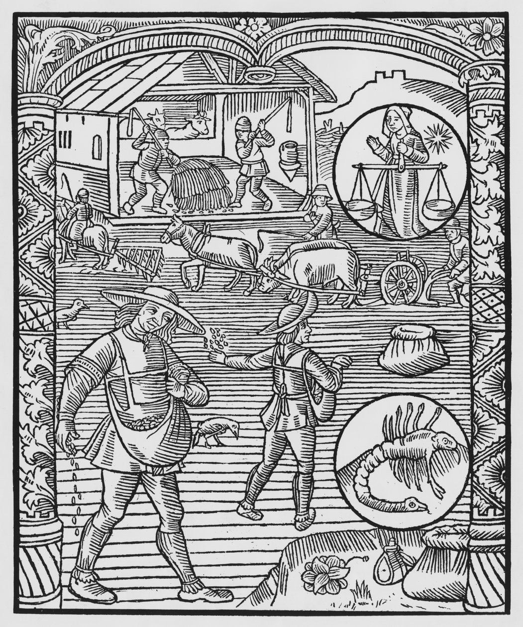أكتوبر ، البذر والحراثة والدرس ، الميزان ، رسم توضيحي من "Almanach des Bergers" ، 1491 (xylograph) بواسطة بيير لو روج
