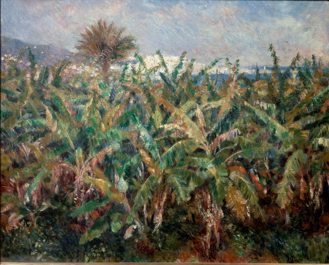 Banana Field بواسطة بيير أوغست رينوار