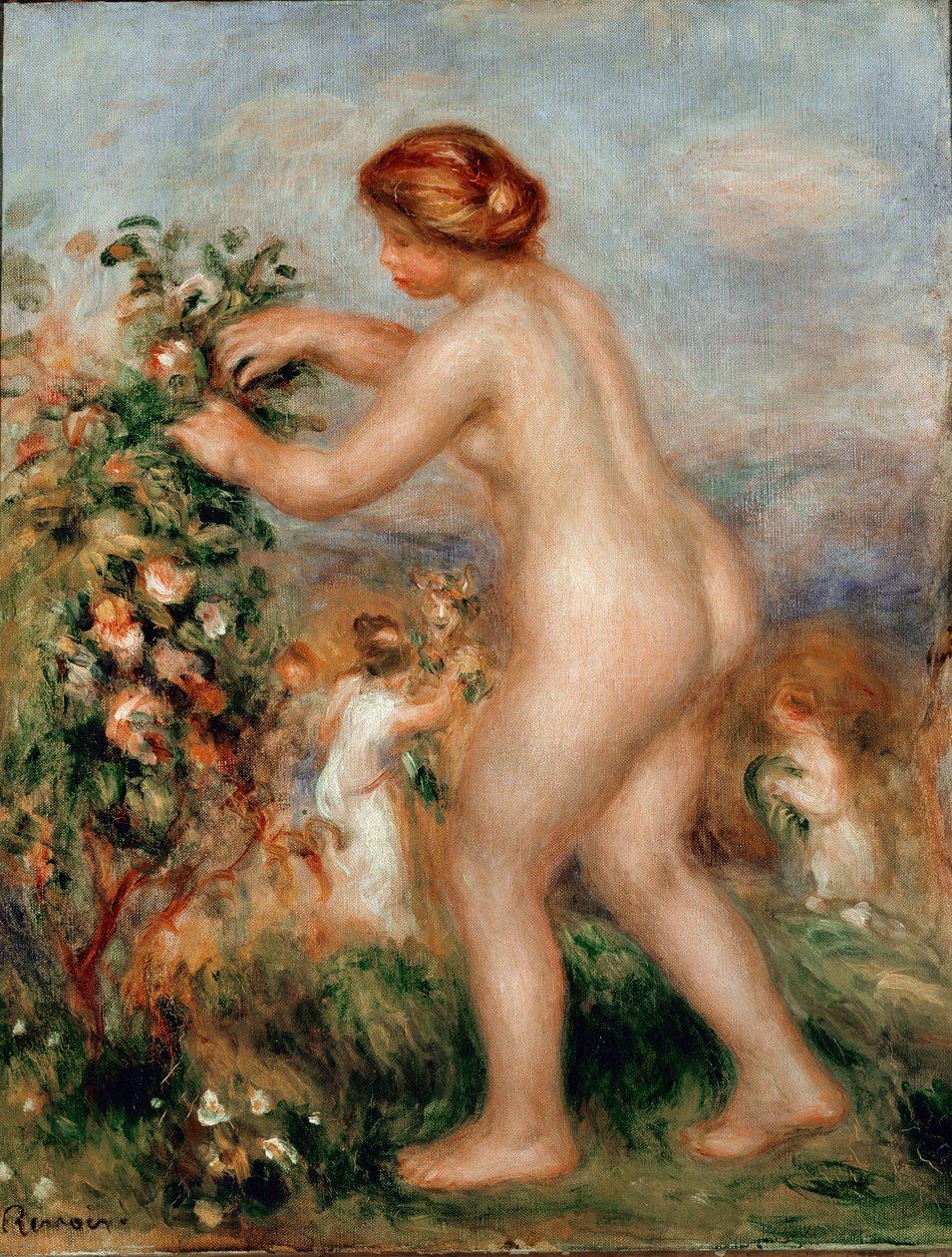 Ode to flowers. Naked woman ceuillating roses has a rose tree. Painting by Pierre Auguste Renoir (Pierre-Auguste بواسطة بيير أوغست رينوار