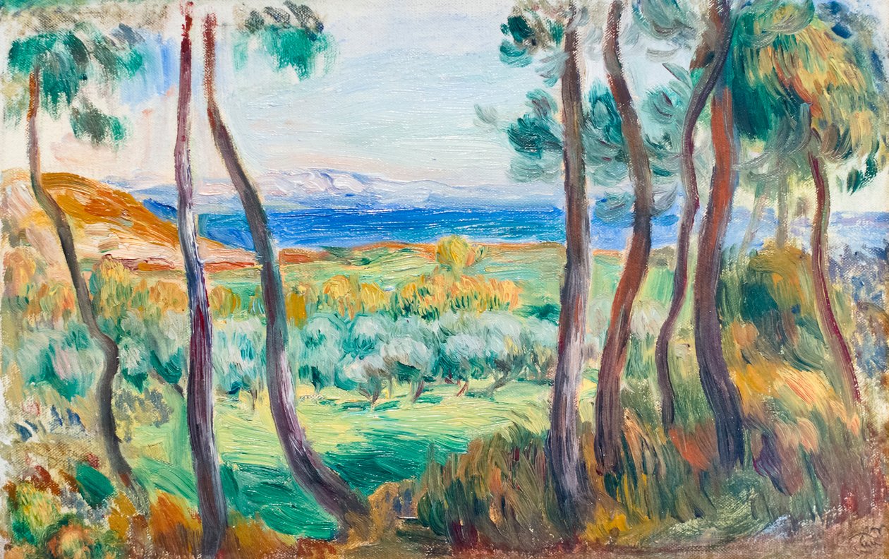 الصنوبر بالقرب من Cagnes ، ج. 1910 (زيت على قماش) بواسطة بيير أوغست رينوار