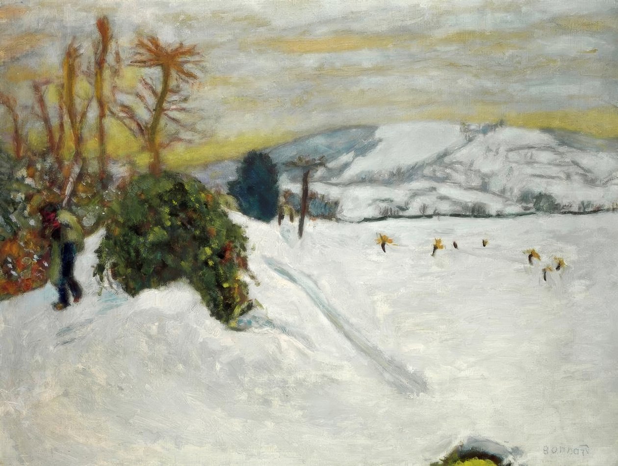 ثلوج في Grand-Lemps (Neige en Dauphiné) بواسطة بيير بونارد