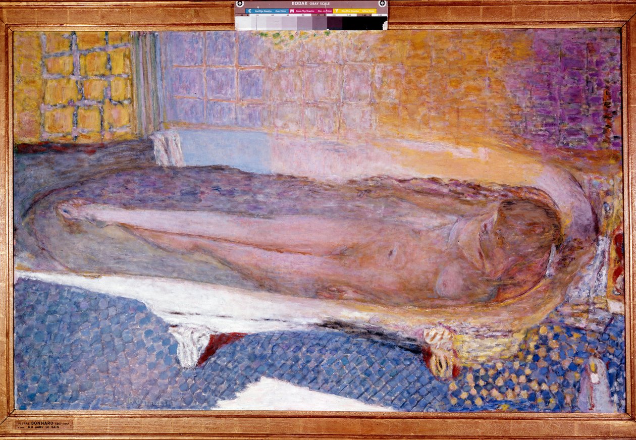عارية في الحمام بواسطة بيير بونارد
