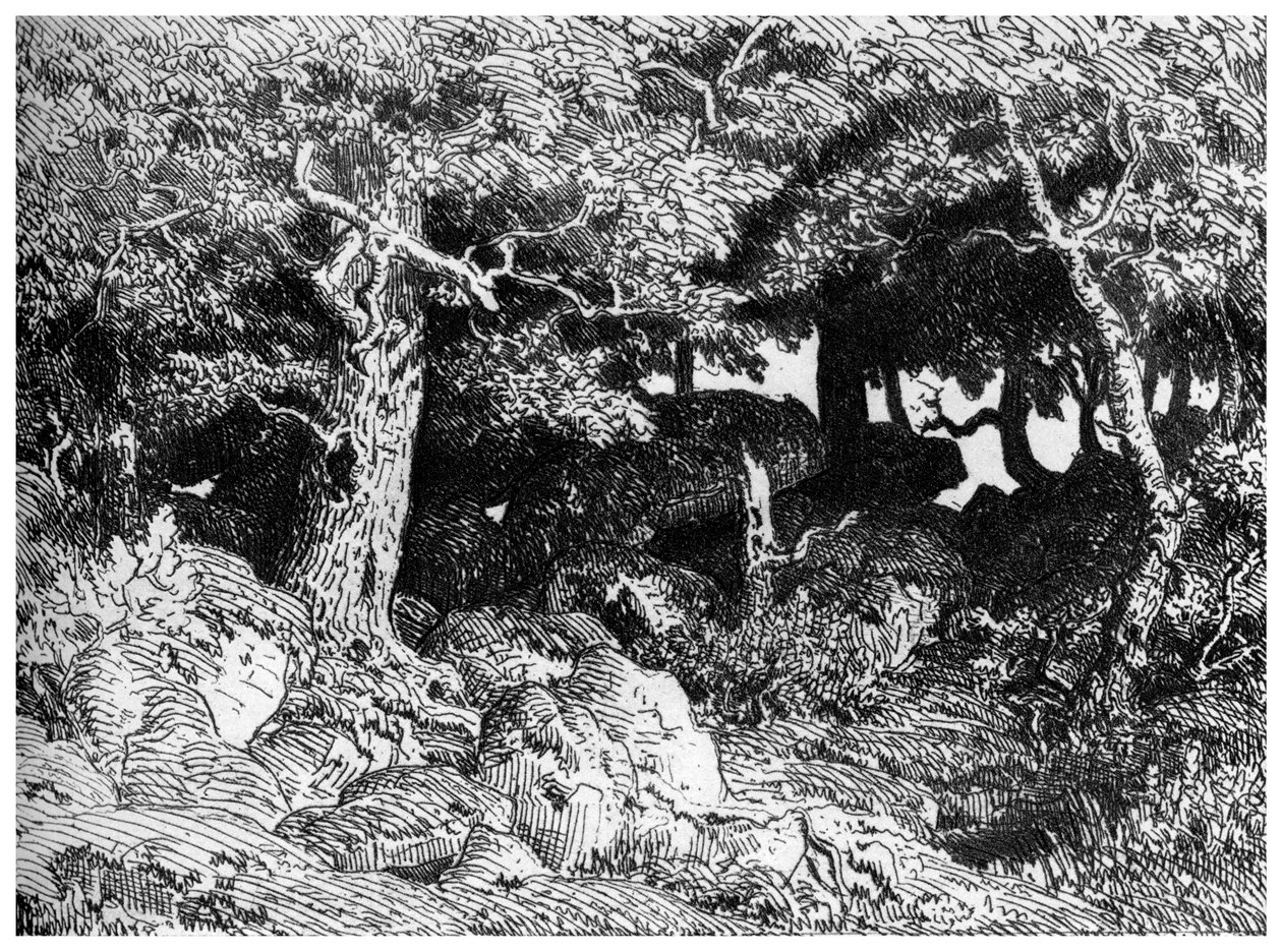 Les Chenes de Roche ، c1832-1860 ، 1924 بواسطة بيير إتيان ثيودور روسو