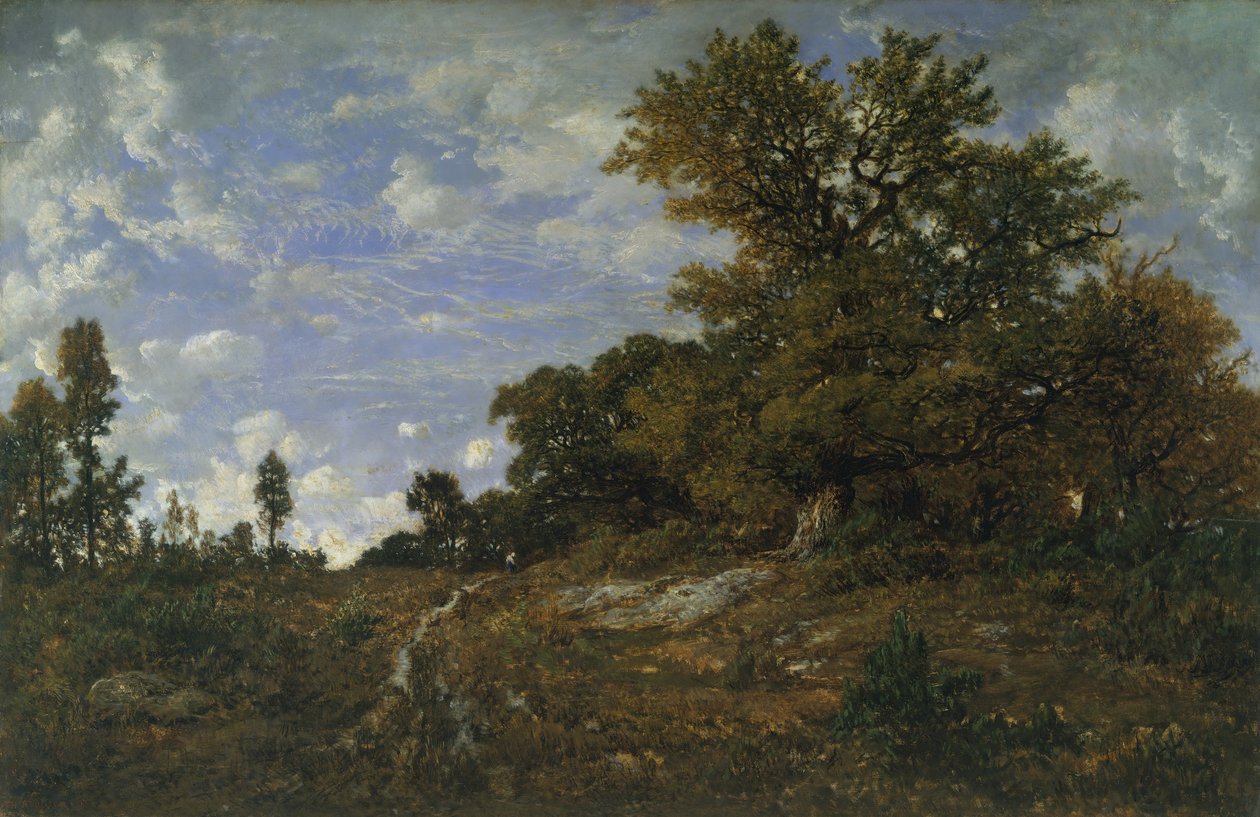 حافة الغابة في مونتس جيرارد ، غابة فونتينبلو ، 1852-54. بواسطة بيير إتيان ثيودور روسو