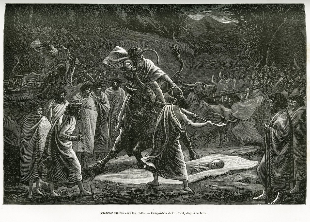 مراسم جنازة لـ Todas ، مجتمع رعوي صغير في هضبة Nilgiri (جنوب الهند) ، خلال الجنازة ، يتم التضحية بالماشية. نقش بي فريتيل ، لتوضيح التذكارات الحيثية لرحلة إلى جزر نيلجيري ، بواسطة مدام يانسن ، في 1 بواسطة بيير فريتيل