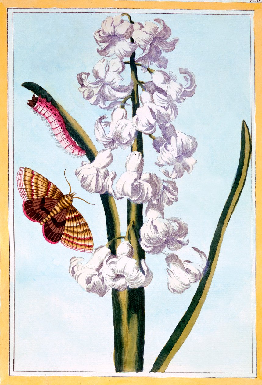 صفير ، حانة. 1776. بواسطة بيير جوزيف بوشوز