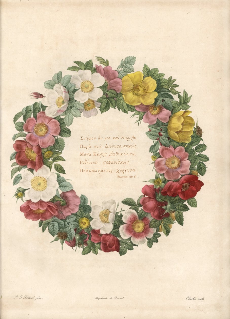 تاج الورود مع شعار يوناني - Eau forte by Charlin ، بعد رسم بيير جوزيف ريدوت (1759-1840) ، من Les Roses بواسطة بيير جوزيف ريدوت