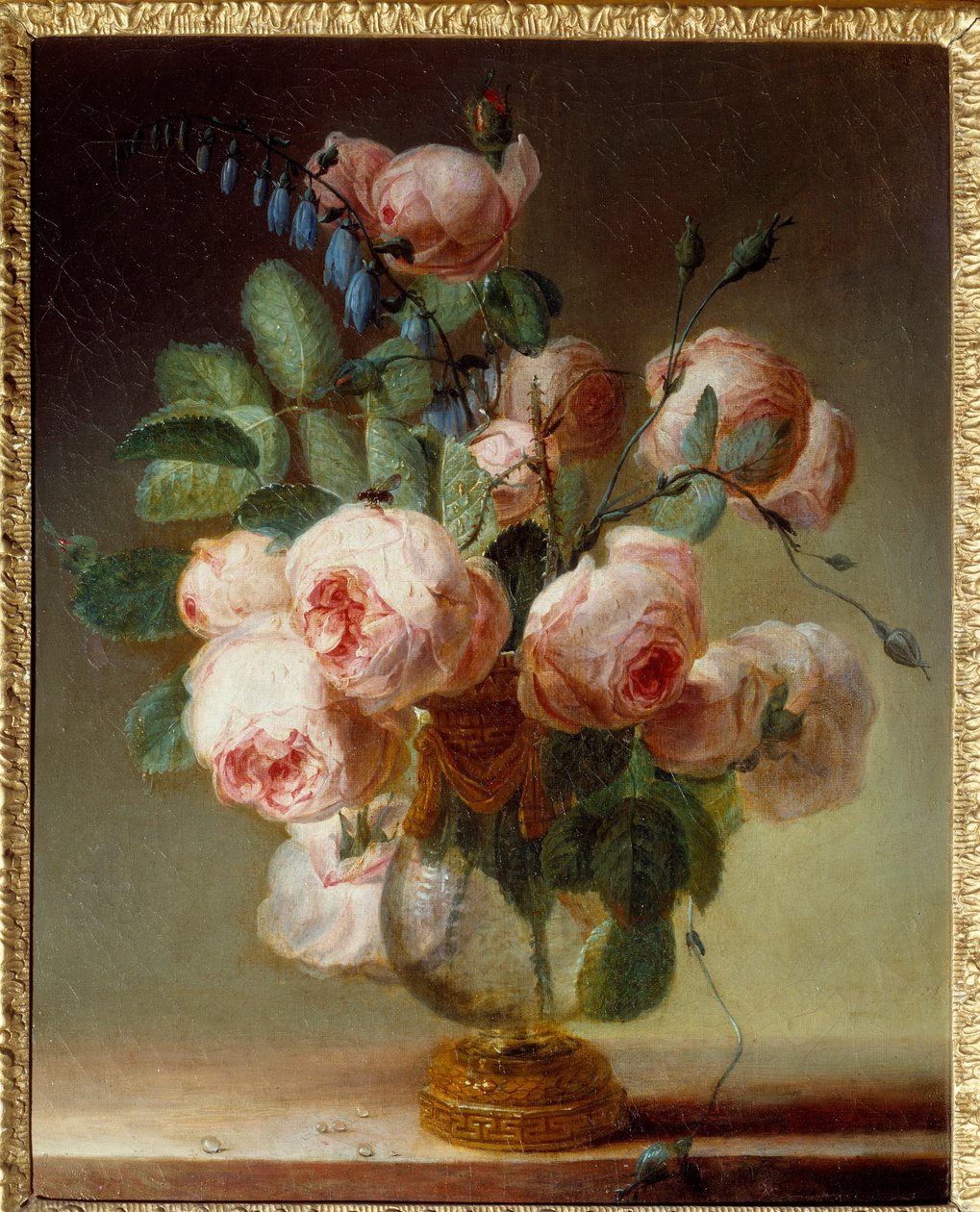 إناء الزهور: باقة زهور الفاوانيا. رسم بيير جوزيف ريدوت (1759-1840) القرن التاسع عشر. 0،46x0،37 م روان ، متحف الفنون الجميلة بواسطة بيير جوزيف ريدوت