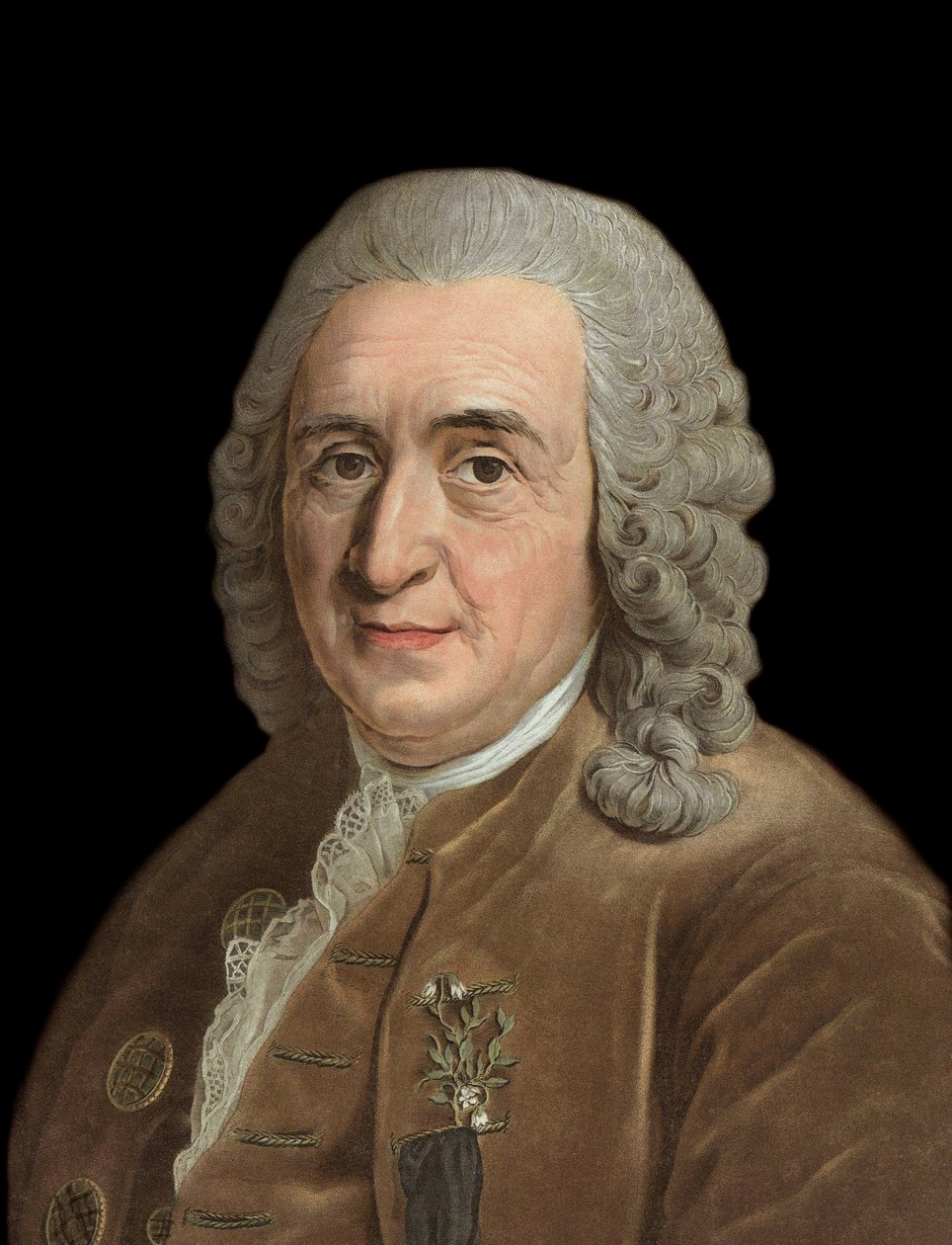 صورة تشارلز لين (كارل فون لين ، لينيوس 1707-1778) ، عالم الطبيعة السويدي - نقش بيير ميشيل أليكس (1762-1817) بواسطة بيير ميشيل أليكس
