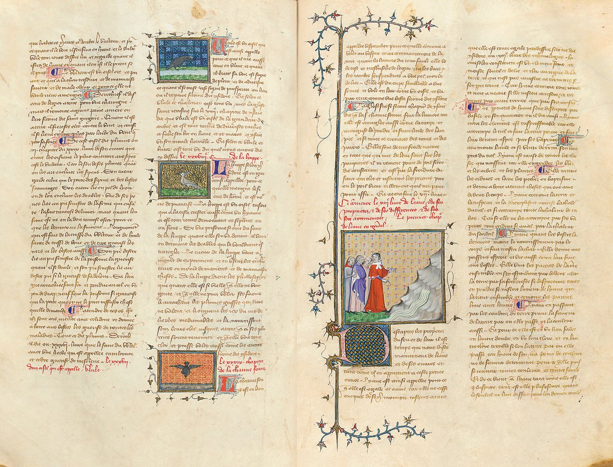 صفحة من "خصائص الأشياء" بقلم بارثولوميو الإنجليزي في الترجمة الفرنسية لجان كوربيكون ، c.1390 بواسطة بيير ريميت