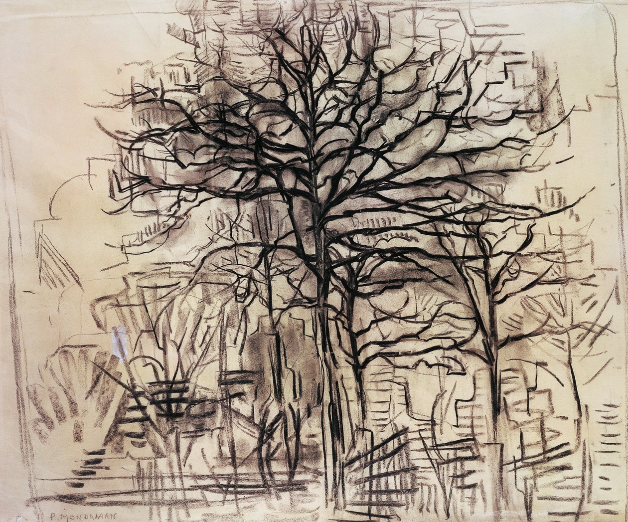 Study of trees, by Piet Mondrian (1872-1944), charcoal and white lead drawing. Netherlands, 20th century. بواسطة بيت موندريان