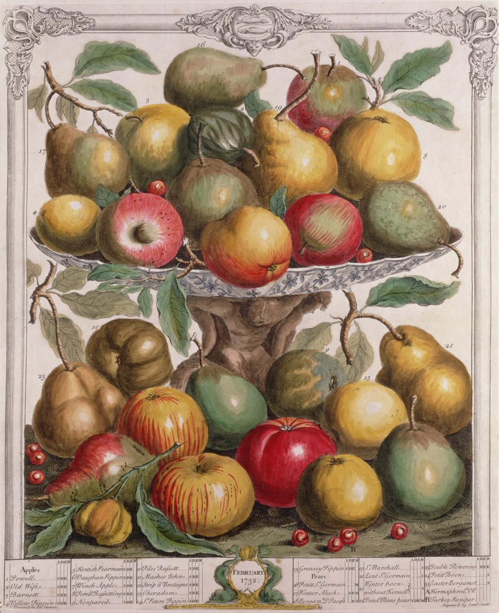 فبراير ، من "اثنا عشر شهرًا من الفواكه" ، بقلم روبرت فوربر (c.1674-1756) منقوش بواسطة جيمس سميث ، 1732 (نقش الألوان) بواسطة بيتر كاستيلز