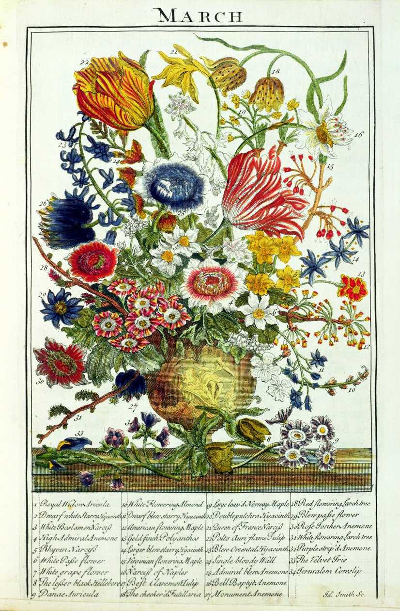 مارس ، من "حديقة الزهور المعروضة" بقلم روبرت فوربر (c.1674-1756) ، نقشها جيمس سميث ، حانة. 1732 بواسطة بيتر كاستيلز