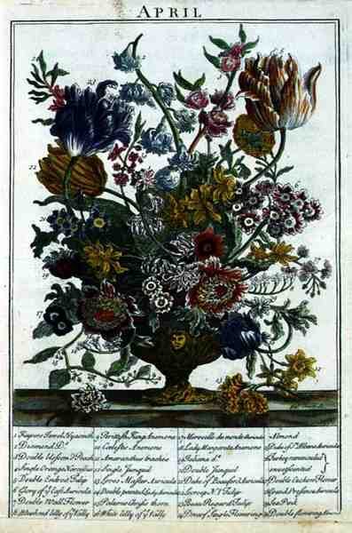 أبريل ، من حديقة الزهور التي عرضها روبرت فوربر (c.1674-1756) ، نقشها جيمس سميث ، حانة. 1732 (انظر أيضًا 11109) بواسطة بيتر بعد كاستيلس