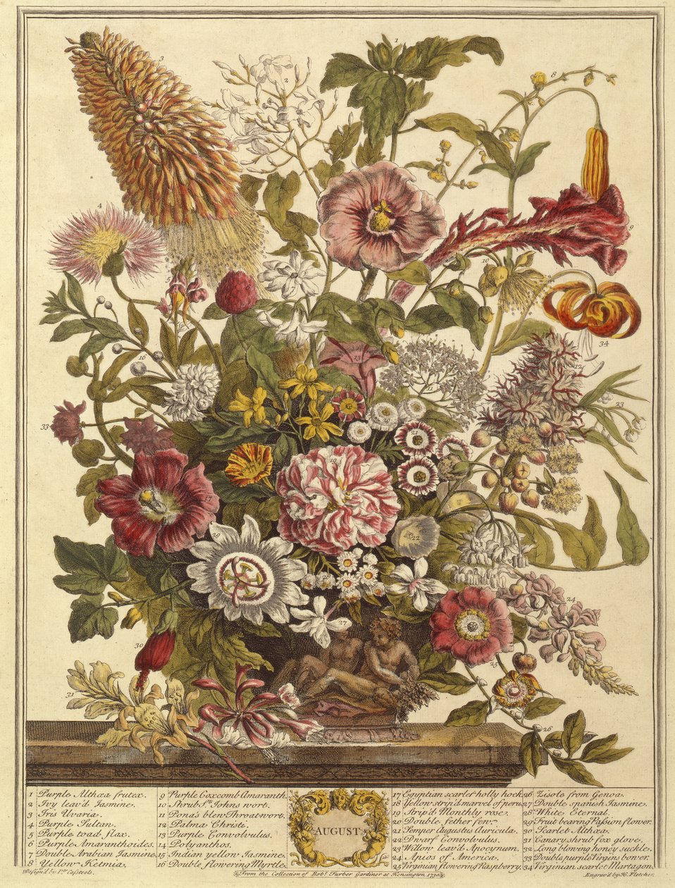 أغسطس ، من اثني عشر شهرًا من الزهور بواسطة روبرت فوربر (c.1674-1756) منقوش بواسطة هنري فليتشر (نقش الألوان) بواسطة بيتر بعد كاستيلس