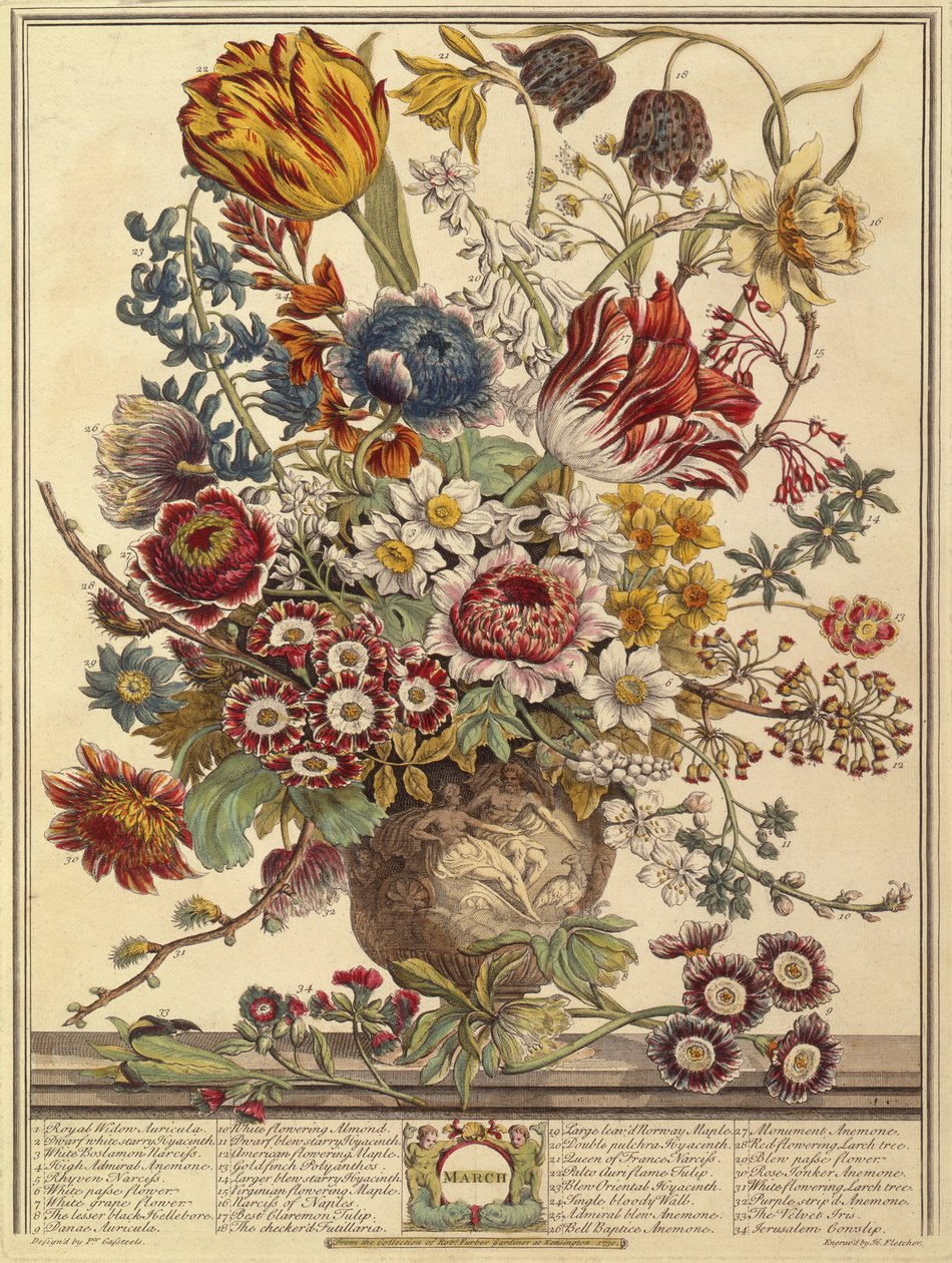 مارس ، من اثني عشر شهرًا من الزهور بواسطة روبرت فوربر (c.1674-1756) منقوش بواسطة هنري فليتشر (نقش الألوان) بواسطة بيتر بعد كاستيلس