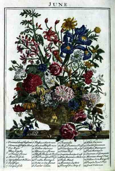 يونيو ، من "حديقة الزهور المعروضة" بقلم روبرت فوربر (1674-1756) ، نقشها جيمس سميث ، حانة. 1732 (نقش ملون) بواسطة بيتر (بعد) كاستيلز
