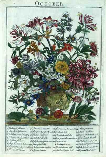 أكتوبر ، من "حديقة الزهور المعروضة" بقلم روبرت فوربر (1674-1756) ، نقشها جيمس سميث ، حانة. 1732 (نقش ملون) بواسطة بيتر (بعد) كاستيلز