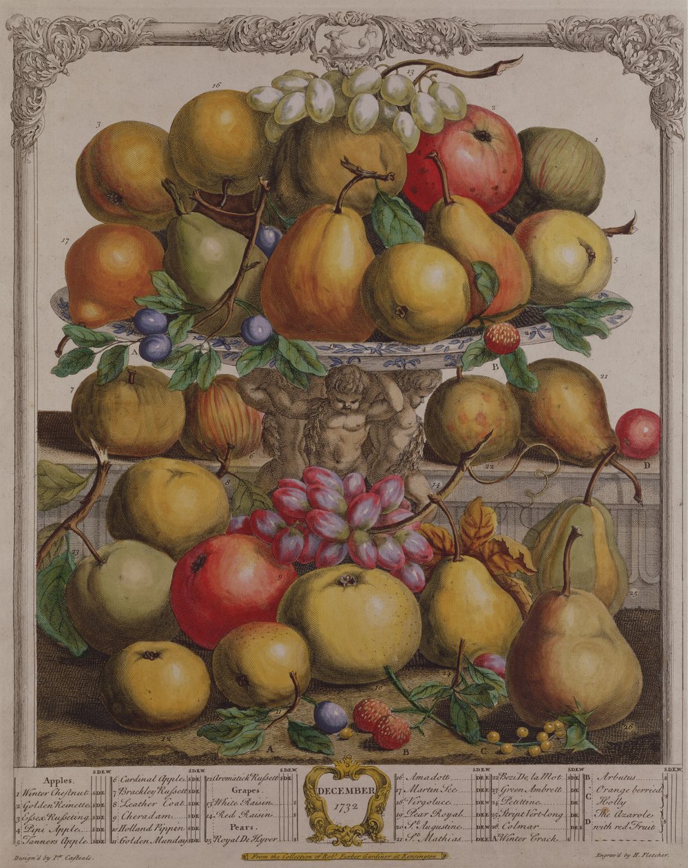 ديسمبر ، من "اثنا عشر شهرًا من الفواكه" ، بقلم روبرت فوربر (c.1674-1756) منقوش بواسطة هنري فليتشر ، 1732 (نقش الألوان) بواسطة بيتر كاستيلز