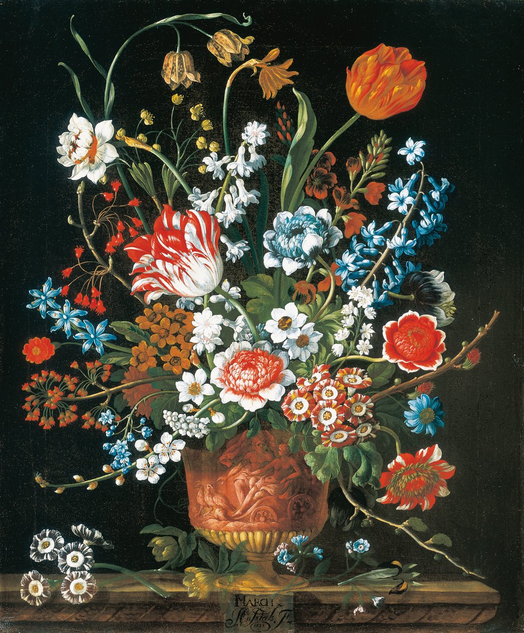 مارس ، من The Twelve Months of Flowers ، وهو تقويم زهري من الأرواح الساكنة بواسطة بيتر كاستيلز