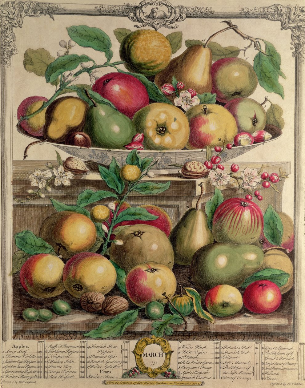 مارس ، من "اثنا عشر شهرًا من الفواكه" ، بقلم روبرت فوربر (c.1674-1756) منقوش بواسطة هنري فليتشر ، 1732 (نقش الألوان) بواسطة بيتر كاستيلز