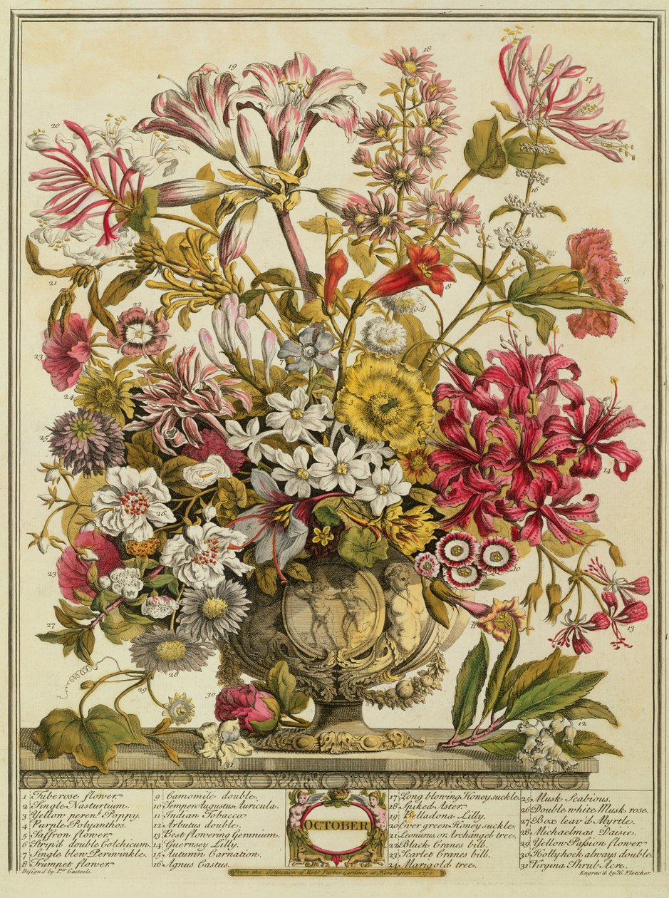 أكتوبر ، من فيلم "اثنا عشر شهرًا من الزهور" لروبرت فوربر (c.1674-1756) الذي نقشه هنري فليتشر (نقش الألوان) بواسطة بيتر كاستيلز