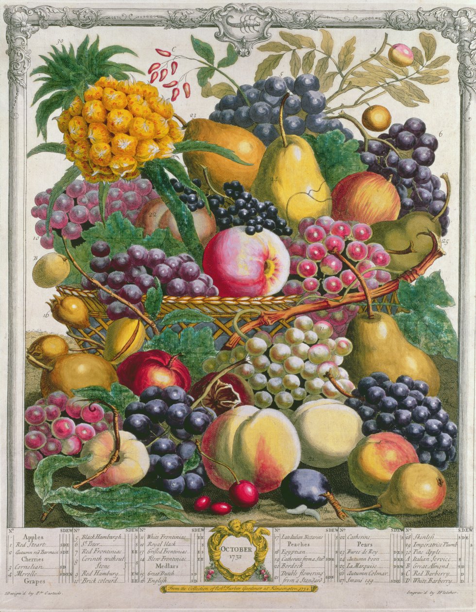 أكتوبر ، من "اثنا عشر شهرًا من الفواكه" ، بقلم روبرت فوربر (c.1674-1756) منقوش بواسطة هنري فليتشر ، 1732 (نقش الألوان) بواسطة بيتر كاستيلز