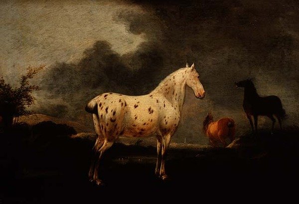 منظر طبيعي مع حصان رمادي مرقط ، حوالي 1670 (زيت على لوح) بواسطة بيتر Wouwermans أو Wouwerman