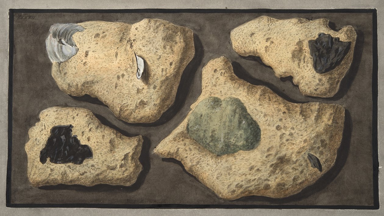 عينات من طوفاس من المحاجر بالقرب من Grotta of Pausilipo ، اللوحة XXXXII ، من "Campi Phlegraei: ملاحظات على براكين الصقليتين" ، بقلم السير ويليام هاميلتون (1730-1803) ، publishe بواسطة بيترو فابريس
