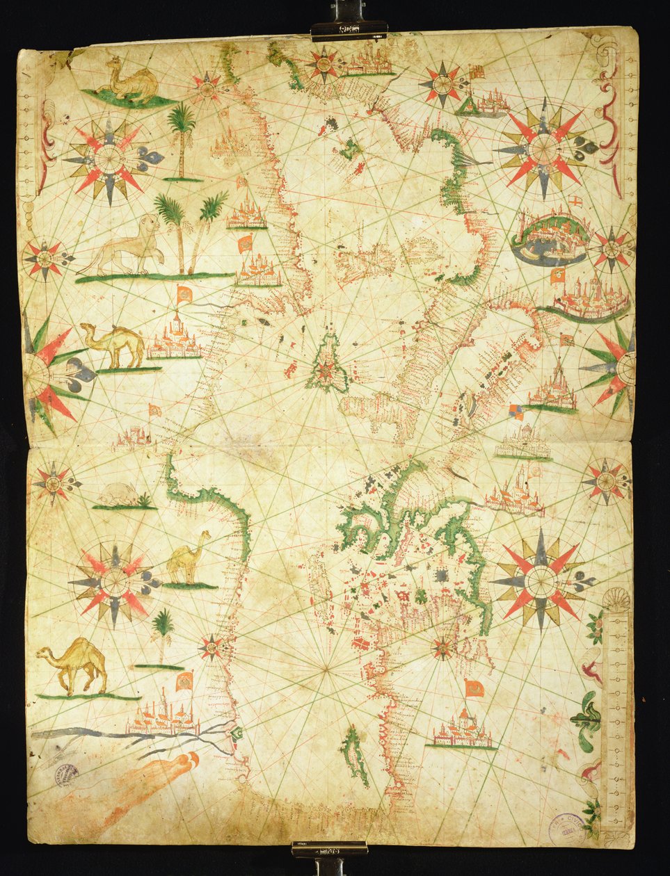 حوض البحر الأبيض المتوسط ، من أطلس بحري ، 1651 (حبر على الرق) (انظر أيضًا 330923-330924) بواسطة بيترو جيوفاني بونيس