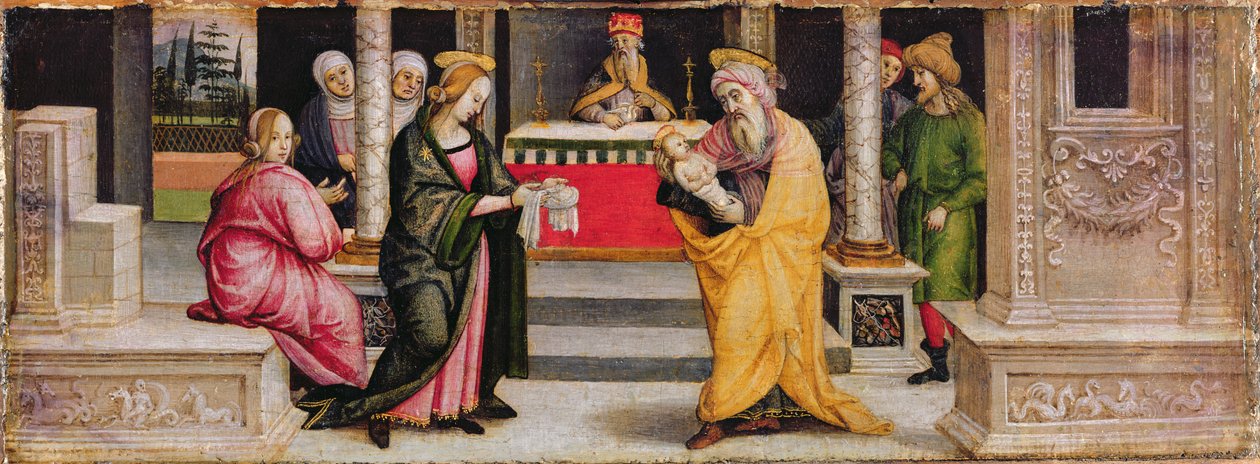 التقديم في الهيكل، ج.1510 (درجة الحرارة على اللوحة) بواسطة بيترو (من أتباع) بيروجينو