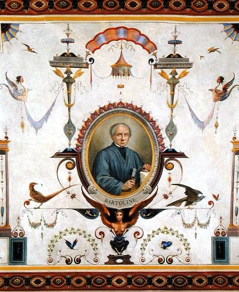 صورة لورنزو بارتوليني (1777-1850) ، تفاصيل من سقف سالا ديل سينداكو بواسطة بيترو بيزاتي